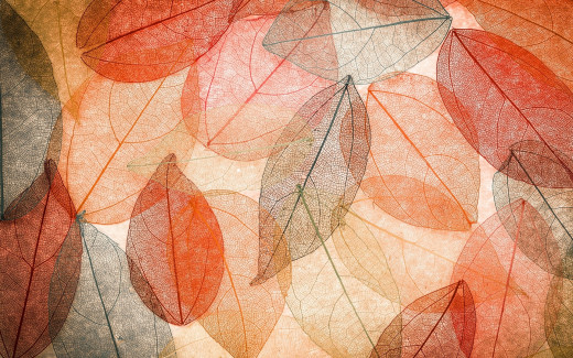 1275445 (a): :1920x1200